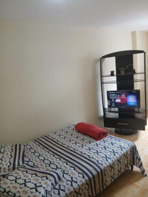 whole and complete apartment in downtown Curitiba